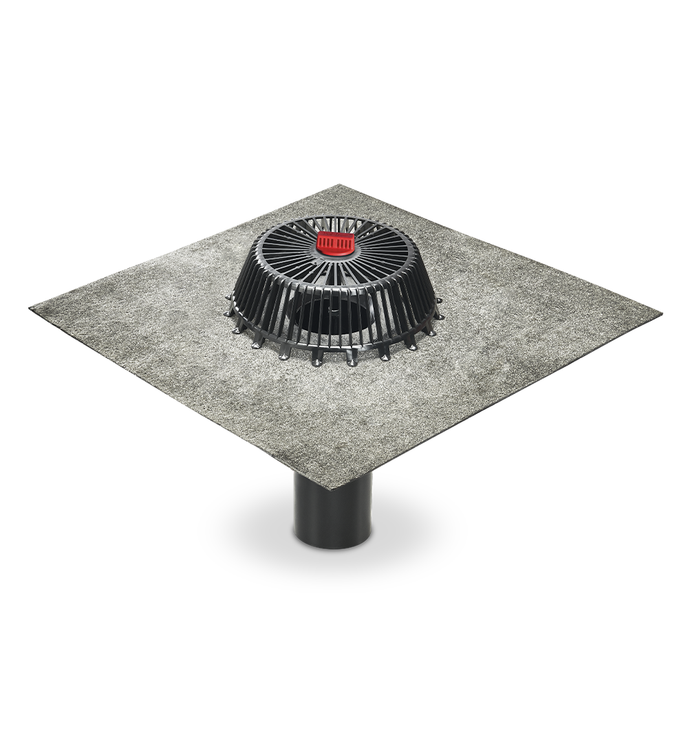 Renovation drain